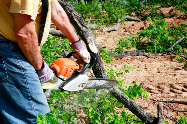 Tree Removal for Businesses in Lanse, MI